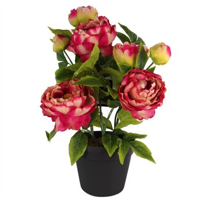 Plante de pivoine artificielle, fleurs, plante rose