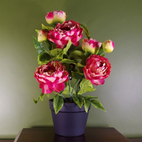 Artificial Peony Plant Pink
