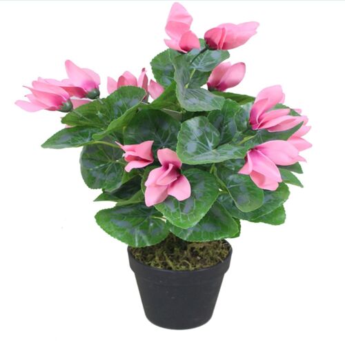 Artificial Pink Cylamen Green Pink 38cm Plants