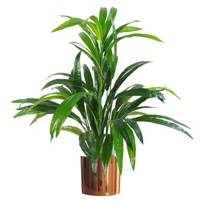 Planta Artificial Bambú Cobre Metal Macetero 65cm