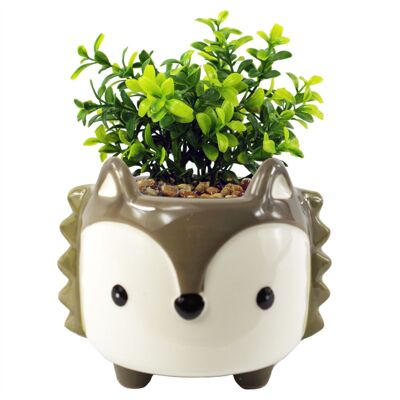 Pianta artificiale Volpe in ceramica Fioriera Volpe grigia Crassula 15 cm