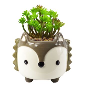 Plante Artificielle Céramique Renard Jardinière Renard Gris Sedum Clavatum 15cm 1