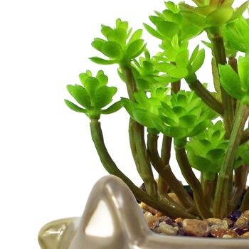 Plante Artificielle Céramique Renard Jardinière Renard Gris Sedum Clavatum 15cm 2