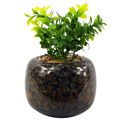 Künstliche Pflanze, Keramik-Pflanzgefäß, Schreibtischpflanze, Crassula, 16 cm