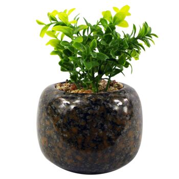 Plante artificielle en céramique, plante de bureau, Crassula, 16cm 1