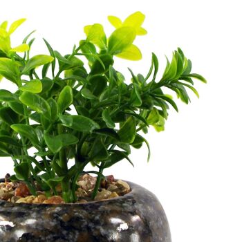 Plante artificielle en céramique, plante de bureau, Crassula, 16cm 2