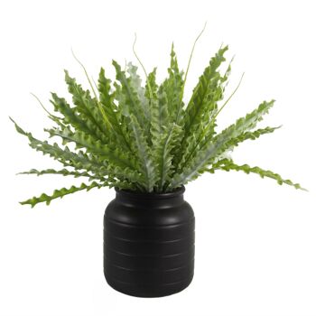 Vase à plantes en céramique, Pot de fleurs, noir, 13x13x14cm 6
