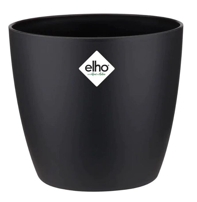 Elho Bruselas octavos de final