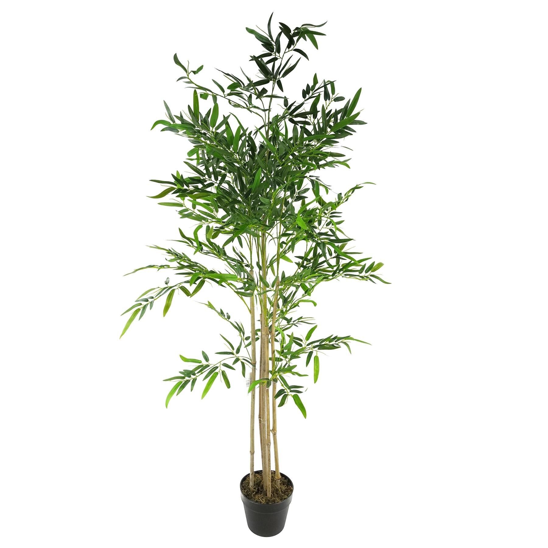 Plantas De Bambú Artificiales Árboles Tronco De Madera 160cm