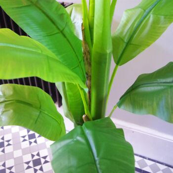 Plante tropicale artificielle de bananier ÉNORME 6 pieds 4