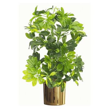 Plante Arboricola artificielle à feuilles, jardinière dorée de 75cm 1