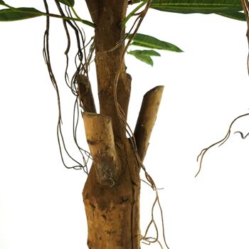 Feuille Design 100 cm Longifolia Ficus Arbre Tronc Naturel Artificiel 4