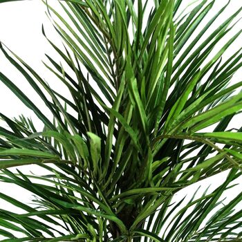 Leaf Design Arbre artificiel palmier Areca 130 cm 2