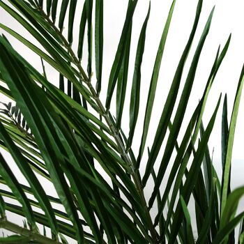 Leaf Design Arbre artificiel naturel de palmier Areca de 150 cm 2