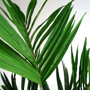 Leaf Design Arbre artificiel palmier Kentia 150 cm 3