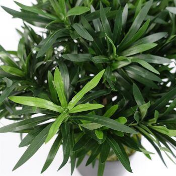 Leaf Design Plante artificielle Podocarpus Bush 40 cm 2