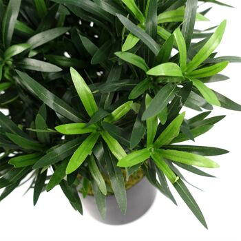 Leaf Design Plante artificielle Podocarpus Bush 40 cm 3