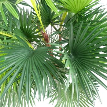 Arbre artificiel de palmier en éventail de 90 cm de conception de feuilles 2