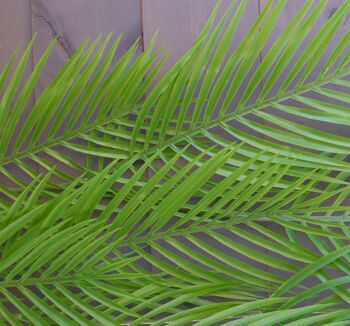 Plante de fougère suspendue artificielle Plante de palmier suspendue artificielle de 120 cm 3