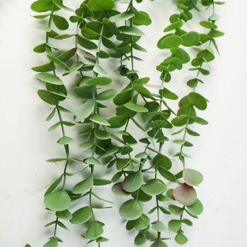 Plante artificielle suspendue Eucalyptus Pack x 6 2