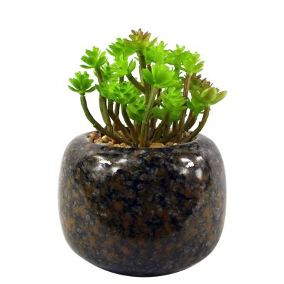 Künstliche Pflanze, Keramik-Pflanzgefäß, Schreibtischpflanze, Sedum Clavatum, 14 cm