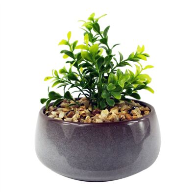 Künstliche Pflanze, Keramik-Übertopf, Pflanze Crassula, 16 cm