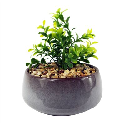 Planta Artificial Macetero Cerámica Planta Crassula 16cm