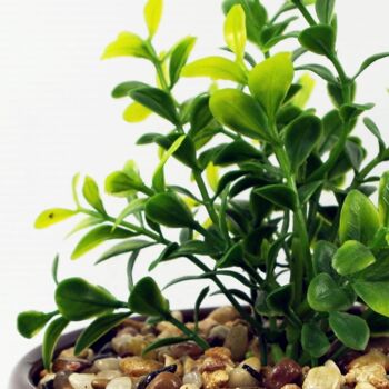 Plante artificielle jardinière en céramique plante Crassula 16cm 2