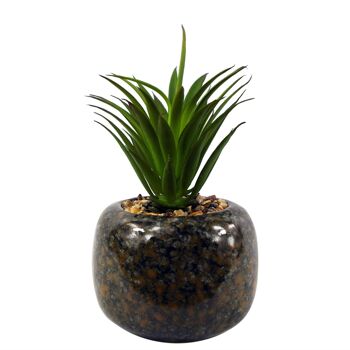 Plante artificielle en céramique, plante de bureau tachetée, Dracaena vert, 18cm 1