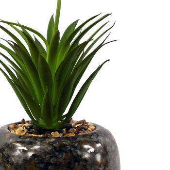 Plante artificielle en céramique, plante de bureau tachetée, Dracaena vert, 18cm 2