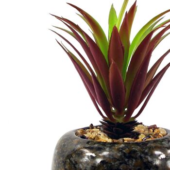 Plante artificielle en céramique, plante de bureau tachetée, Dracaena rouge, 18cm 2