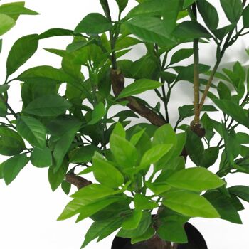 Plante d'arbre artificiel Ficus vert artificiel 80 cm 3