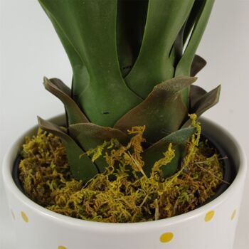 Jardinière en céramique de plante de yucca artificielle et 60 cm 4