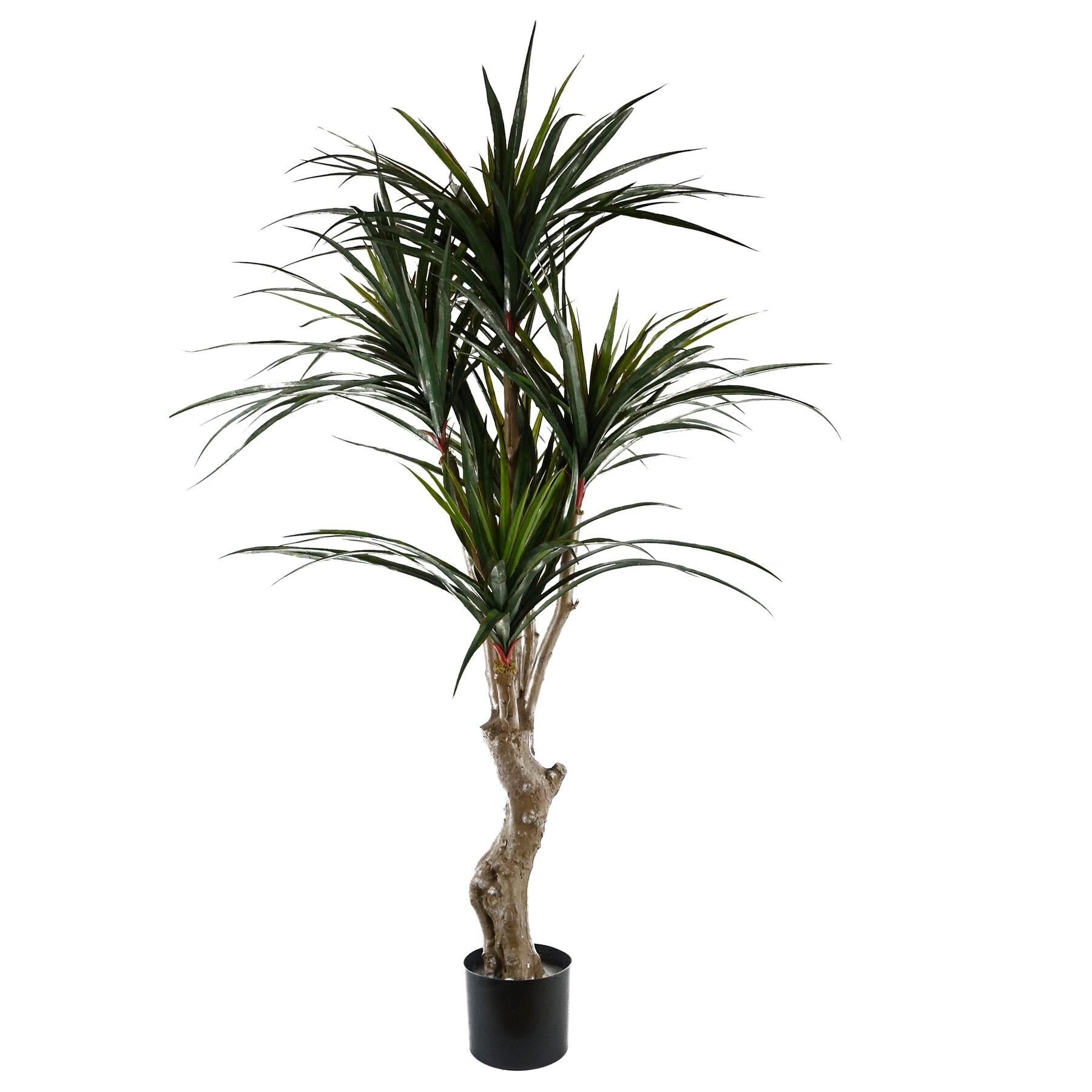 Yucca résistant aux UV 238 feuilles