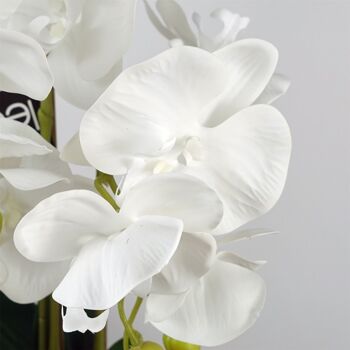Orchidée blanche pure avec pot à bulles en céramique 2