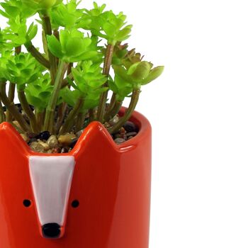 Pots de plantes en céramique pour animaux, lapin, renard, éléphant, 15cm 5