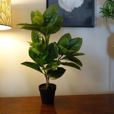Plante en Caoutchouc Artificielle en Pot 65cm