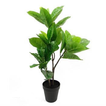 Plante en Caoutchouc Artificielle en Pot 65cm 4