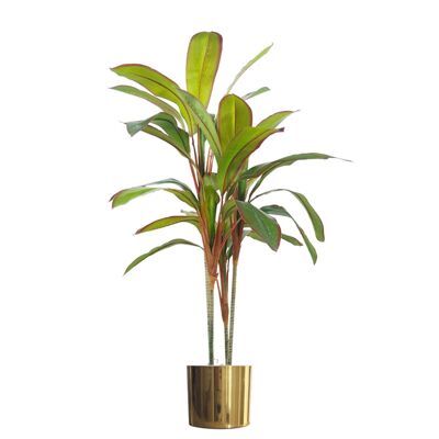 Tropische künstliche Dracaena-Palme, realistischer großer goldener Übertopf, 100 cm