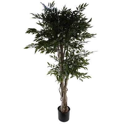 Albero Ruscus resistente ai raggi UV - 2716 foglie