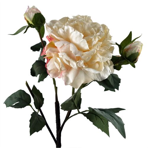 Peony Artificial Flower Cream