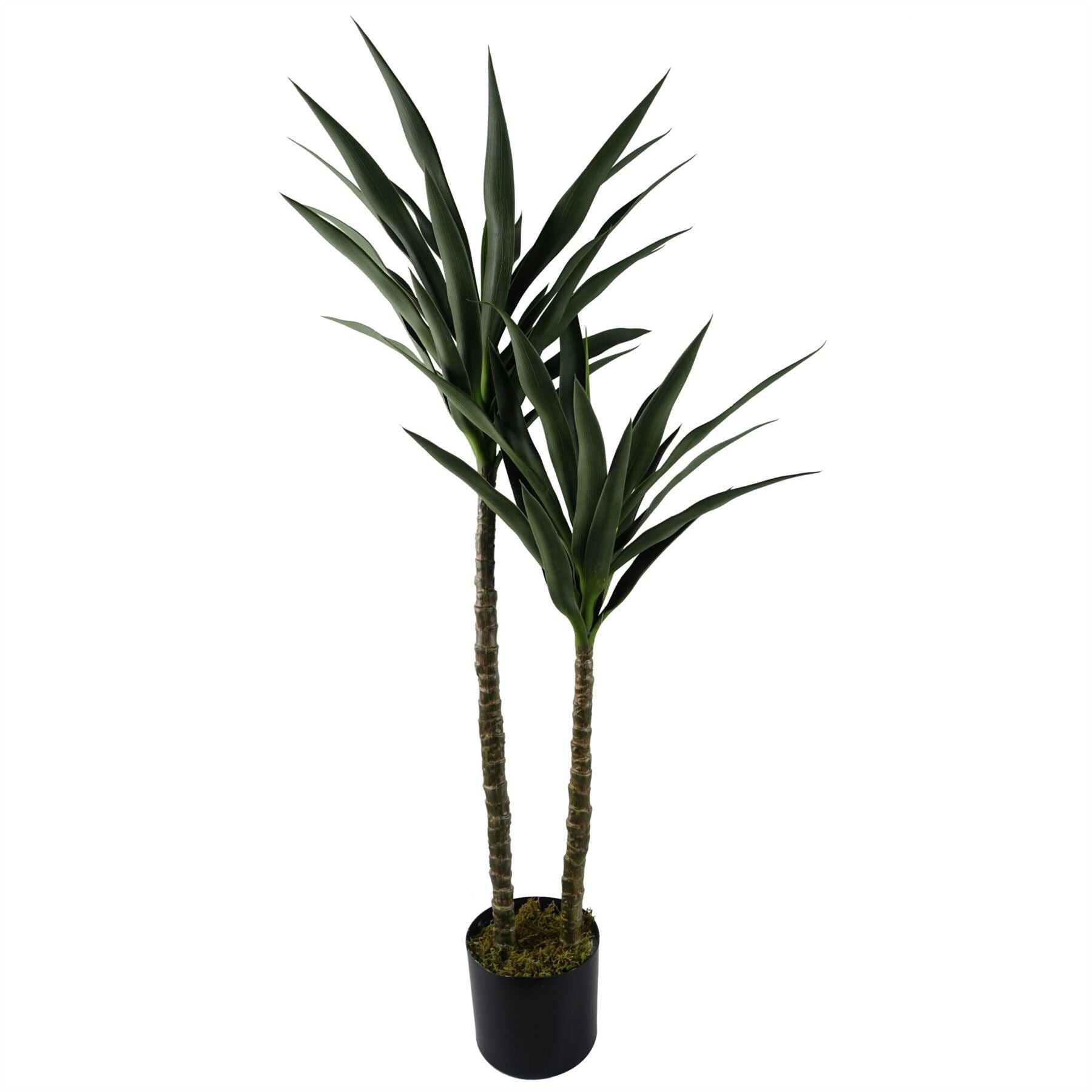 Feuille 120cm Yucca Arbre Résistant Aux UV Extérieur