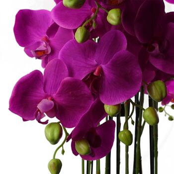Plante d'orchidée violette géante - Artificielle - 189 fleurs REAL TOUCH 3