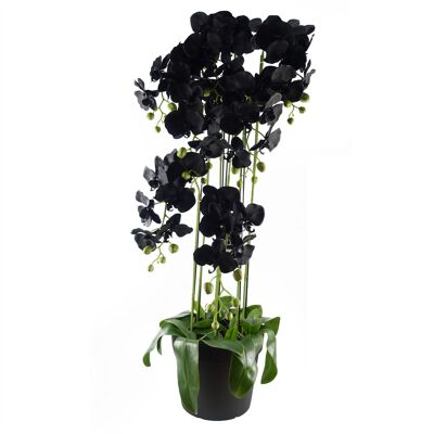 Große schwarze Orchideenpflanze – künstlich – 41 echte Blumen