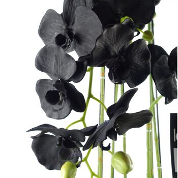 Grande plante d'orchidée noire - Artifcial - 41 fleurs REAL TOUCH 2