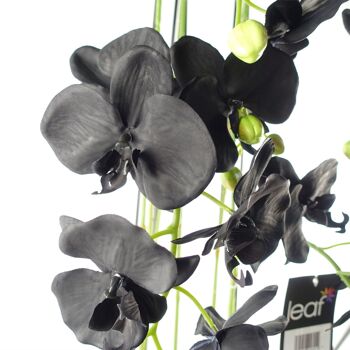 Grande plante d'orchidée noire - Artifcial - 41 fleurs REAL TOUCH 3