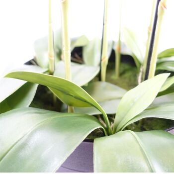 Grande plante d'orchidée noire - Artifcial - 41 fleurs REAL TOUCH 4