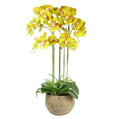 Grande Orchidée Jaune Citron - 41 fleurs REAL TOUCH