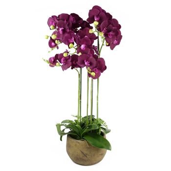 Grande Orchidée Violette - 41 fleurs REAL TOUCH 1