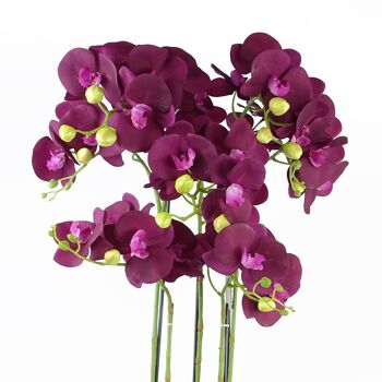 Grande Orchidée Violette - 41 fleurs REAL TOUCH 3